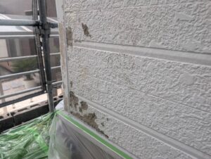 宗像市A様邸外壁塗装 外壁補修② 着工前